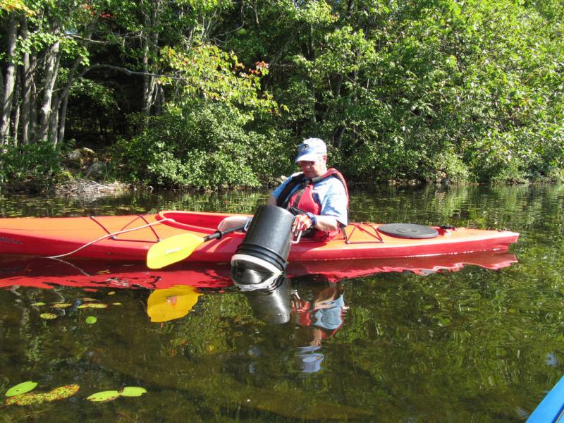 Coastal Rivers seeks volunteers for invasive plant patrol | Boothbay